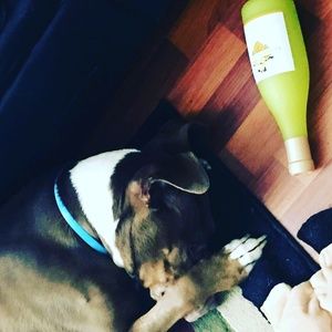 Meet your Posher, Isaac